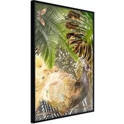 Arkiio Affisch Golden Peacock [Poster] 40x60 Poster